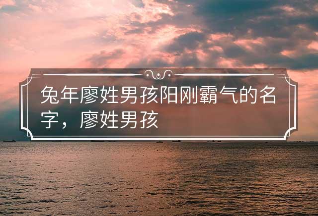 兔年廖姓男孩阳刚霸气的名字，廖姓男孩名字大全 2019廖姓男宝宝取名