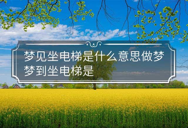 梦见坐电梯，探索潜意识中的上升与下降之旅