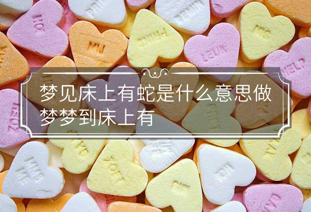 梦见床上有很多蛇但是不咬我是什么意思？解析梦境中的神秘信息