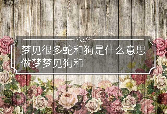 梦境交织，蛇、猫、狗的多重寓意解析