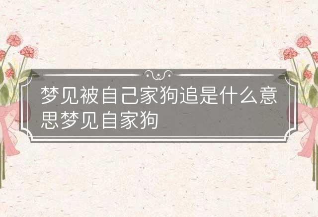 孕妇梦见自己被狗追着跑,梦境背后的深层含义与解读 孕妇梦见自己被狗追着跑,梦境背后的深层含义与解读