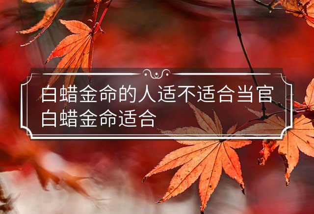 白蜡金命的人适不适合当官 白蜡金命适合做什么工作