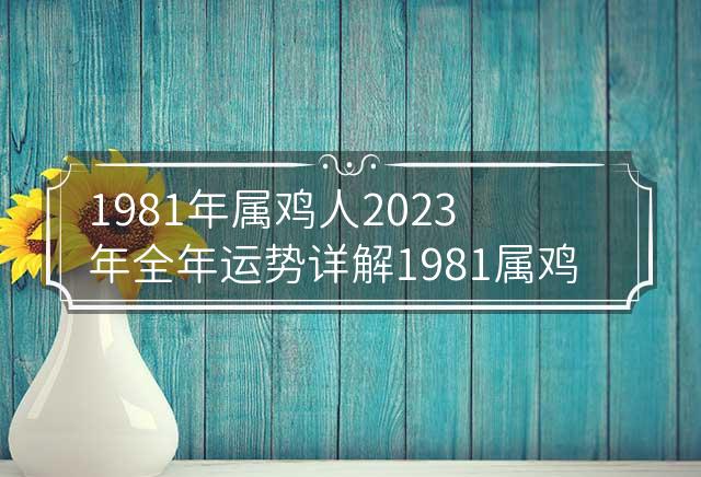 属鸡人2024年全年运势及运程预测