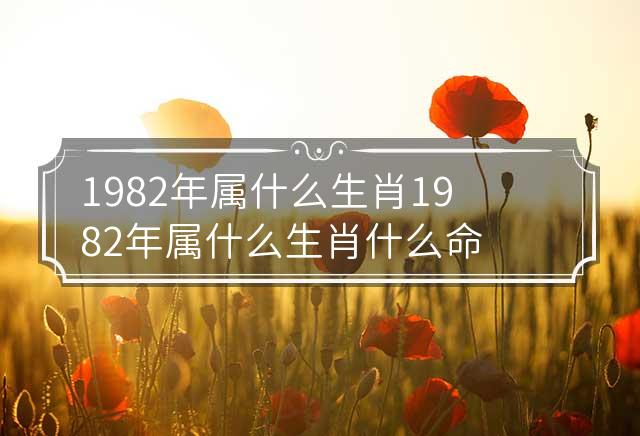 1982年属狗的人2025年的运势及运程