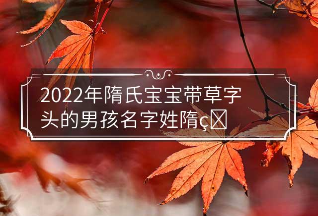 2022年隋氏宝宝带草字头的男孩名字 姓隋的名字男孩 隋姓女孩名字大全