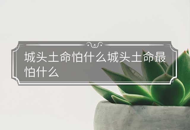 城头土命怕什么 城头土命最怕什么
