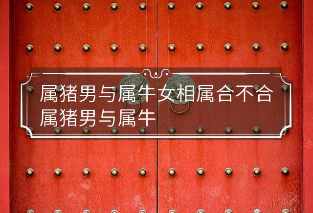 属猪男与属牛女相属合不合 属猪男与属牛女相属合不合财