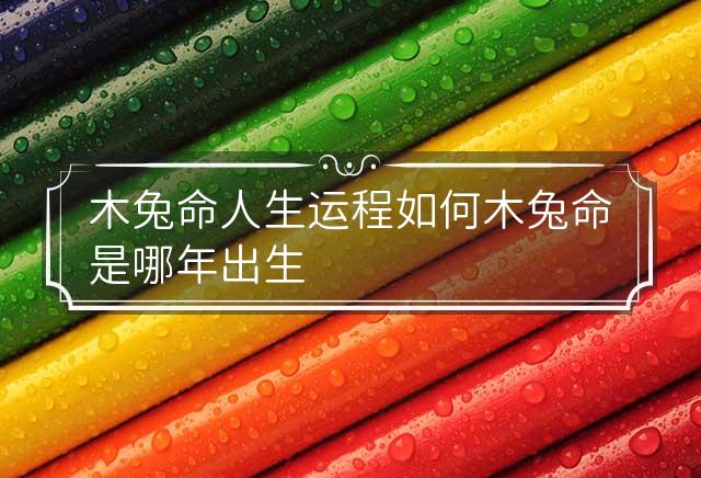 木兔命人生运程如何 木兔命是哪年出生